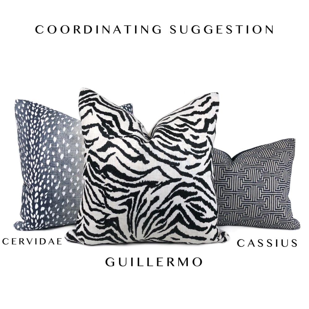 Guillermo Black White Embroidered Zebra Stripe Pillow Cover - Aloriam